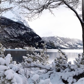 Hostal del Bosque
