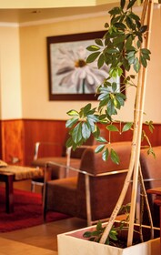 Villa Brescia Hotel