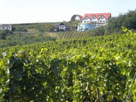 Weinresidenz am Eisenberg