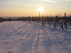 Weinresidenz am Eisenberg