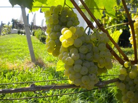 Weinresidenz am Eisenberg