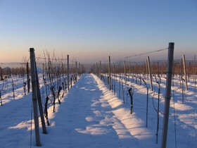 Weinresidenz am Eisenberg