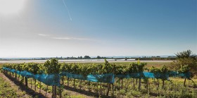 Wein & Landhaus Willi Opitz