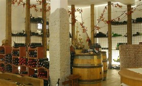 Wellness- & Genusshotel PuchasPlus Kukmirn