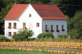 Bauernhof Buchgrabenhof