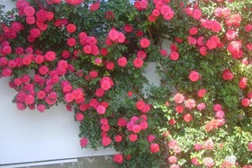 Landhaus Hinteregger