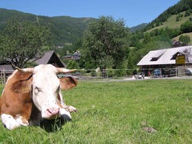 Unterwirt Huabn