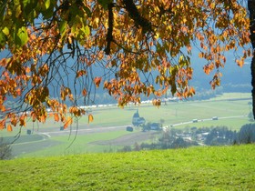 Berghof Golfhotel