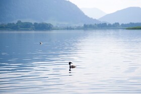 Feriendorf am Maltschacher See