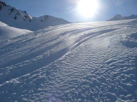Chalet Alpin