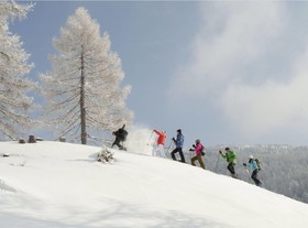 Chalet Alpin