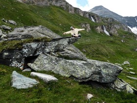 Landhaus Alpenrose - Feriendomizile Pichler