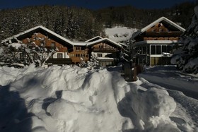 Landhaus Alpenrose - Feriendomizile Pichler