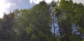 Kinder- und Familienhotel Nockalm
