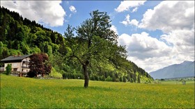 Enzianbrenner Bed & Breakfast