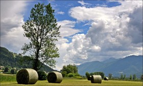 Enzianbrenner Bed & Breakfast