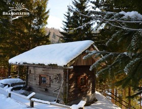 Bauernhof Haus Brandstaetter