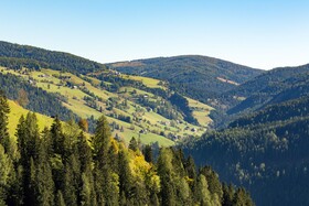 Almdorf Seinerzeit