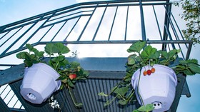 Pension Linder