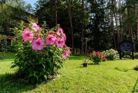 Parkhotel