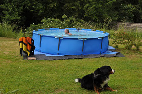 Kärnten Appartements