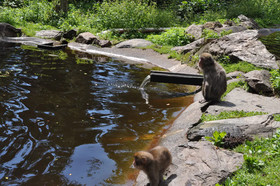 Kärnten Appartements