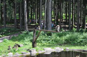 Kärnten Appartements