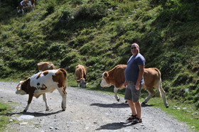 Kärnten Appartements