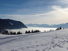 Blue Mountain