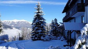 Blue Mountain