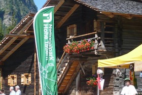 Bauernhof Apartement-Ferienwohnung Grenenerhof