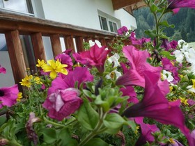 Großglockner Appartement