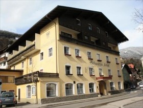 Schwarzer Adler