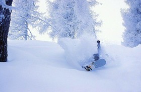 Ferienhaus Töldererhof