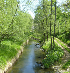 Seminarhaus Gauguschmühle