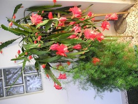 Land-gut-Hotel Rosner