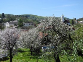 Land-gut-Hotel Rosner