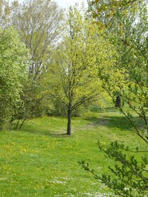 Good Rooms Guntramsdorf