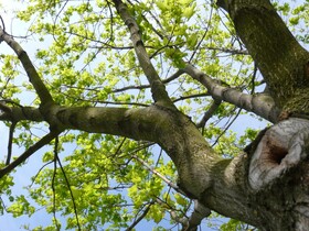 Good Rooms Guntramsdorf