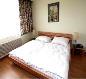 Hotel-Pension Alte Mühle