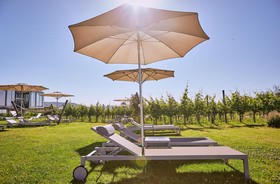 LOISIUM Wine & Spa Resort Langenlois