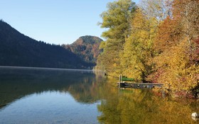 Gasthaus-Pension zum Zellerhof