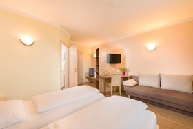Hotel Radlinger