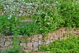 Villa Marie