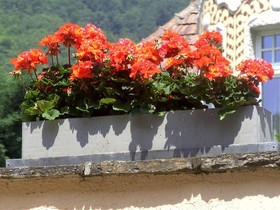Gasthof-Pension Leopold Janu