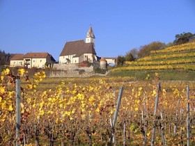 Gasthof-Pension Leopold Janu