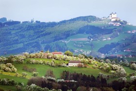 Moshammer Hotels & Restaurant