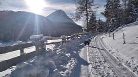 Berggasthaus Riatschhof