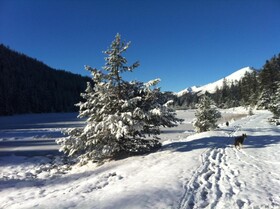 Berggasthaus Riatschhof
