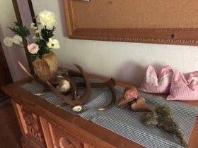 Berggasthaus Riatschhof